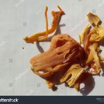 stock-photo-jaypatri-or-mace-is-the-crimson-or-bright-red-coloured-spice-or-condiment-present-as-the-second-1889520604